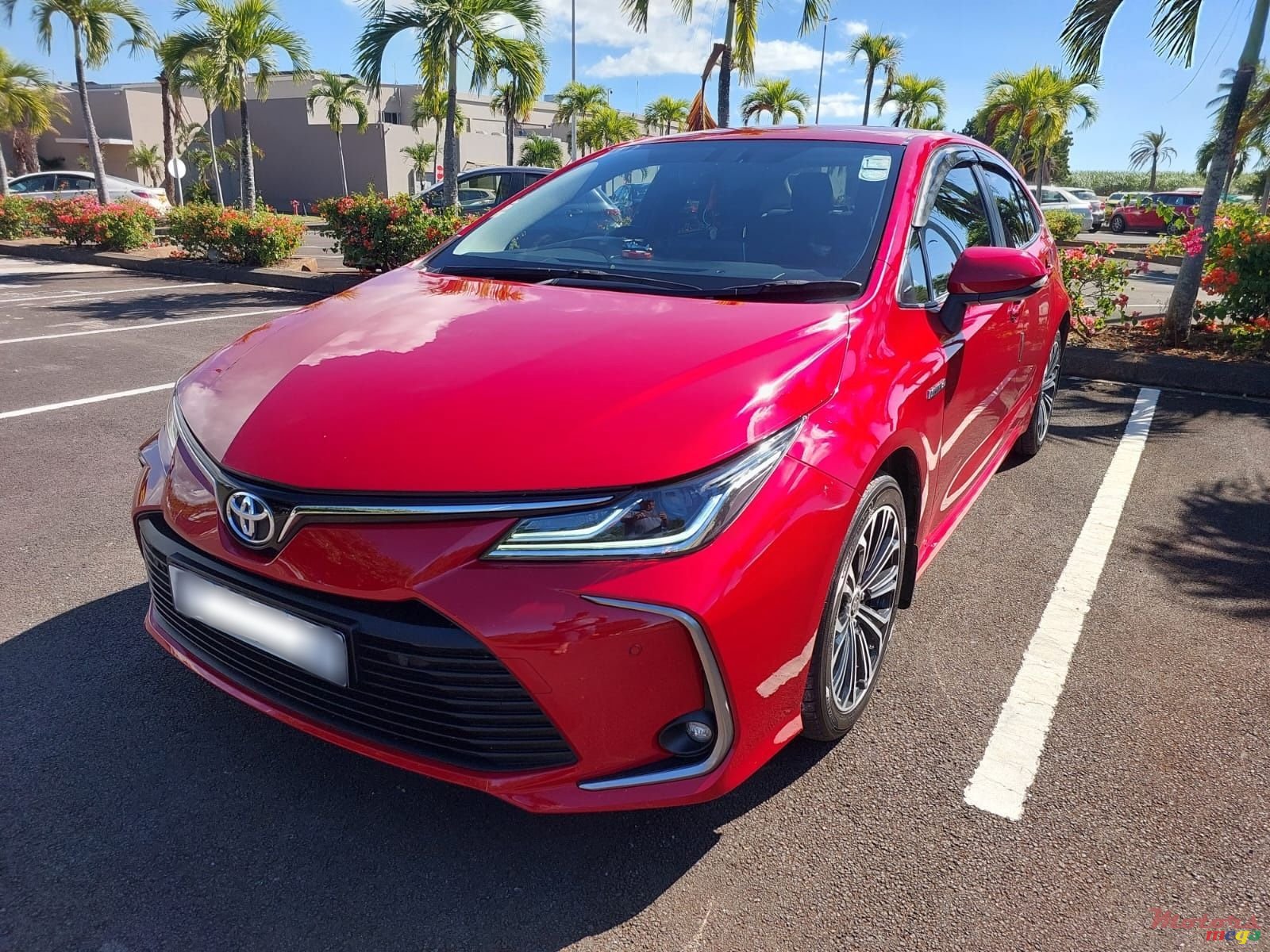 2020' Toyota Corolla photo #3