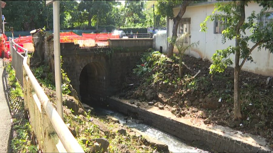 Pont Froppier, Pamplemousses, Mauritius