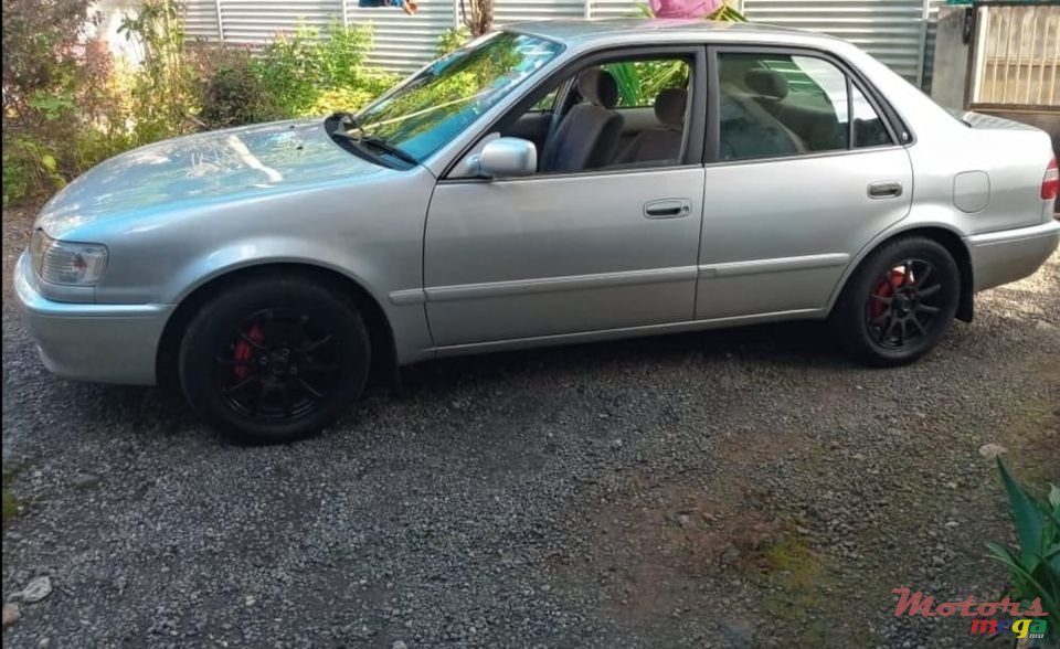 1999' Toyota Corolla photo #2