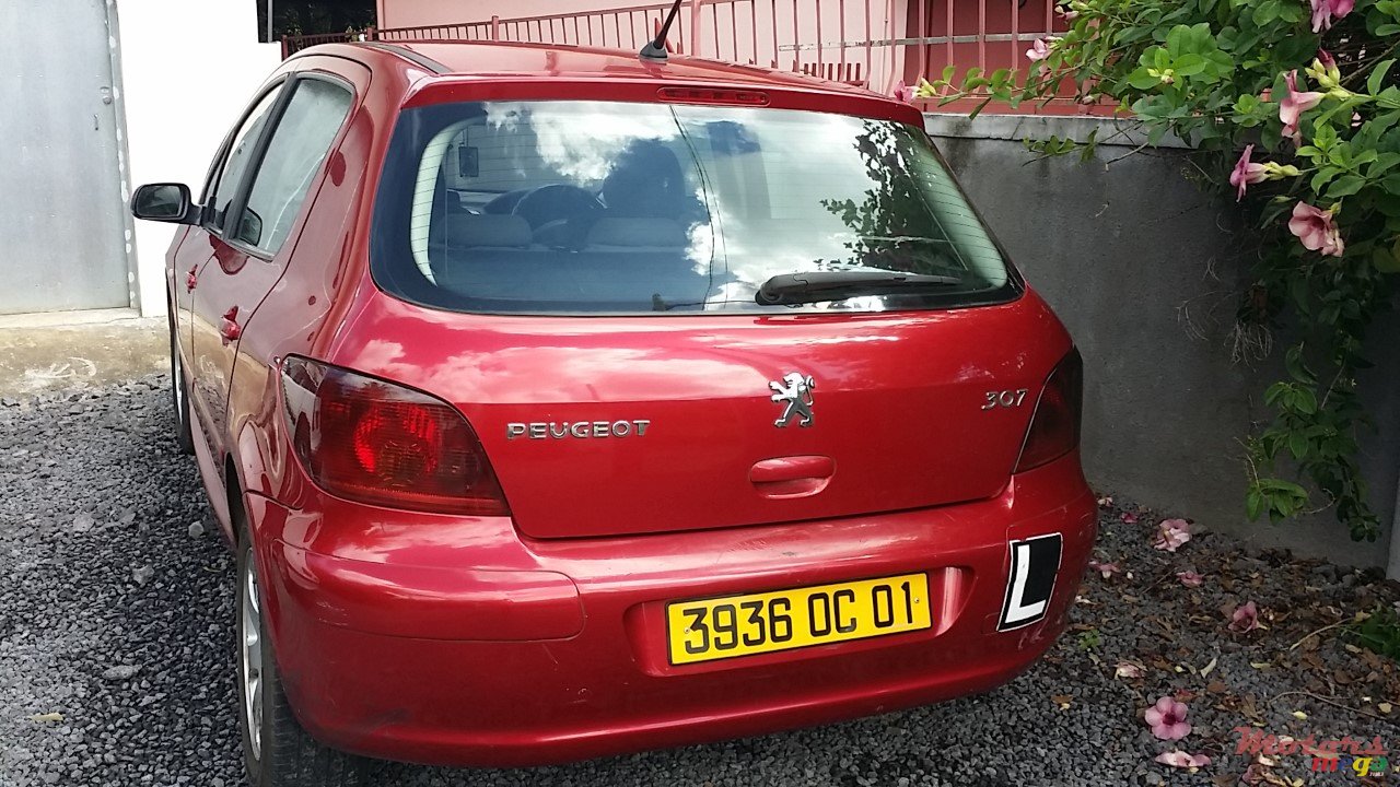 2001' Peugeot 307 photo #1