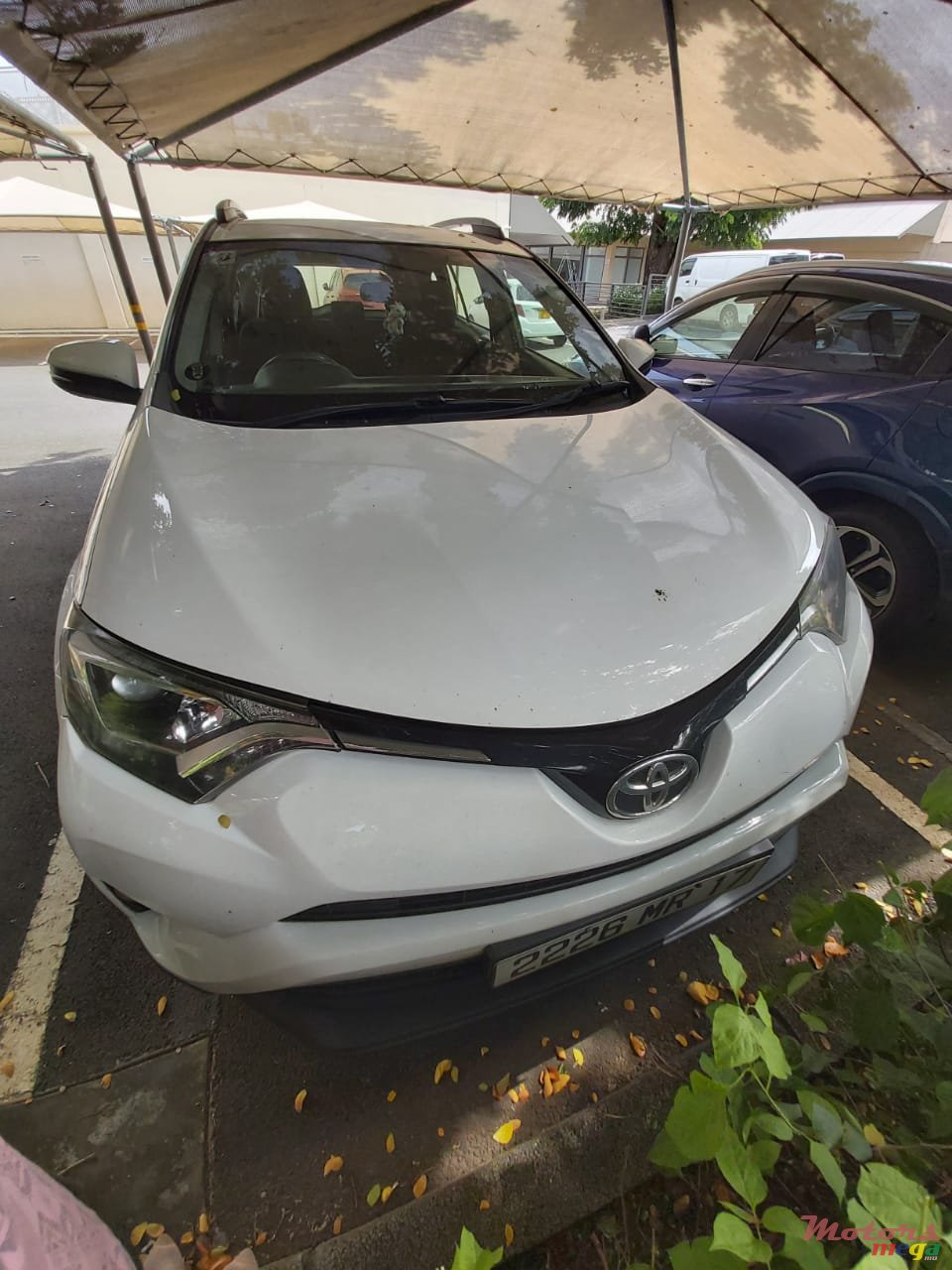 2017' Toyota RAV4 photo #3