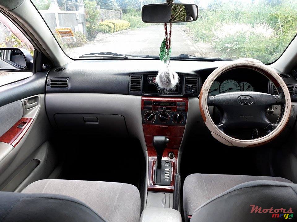 2002' Toyota Corolla NZE photo #4