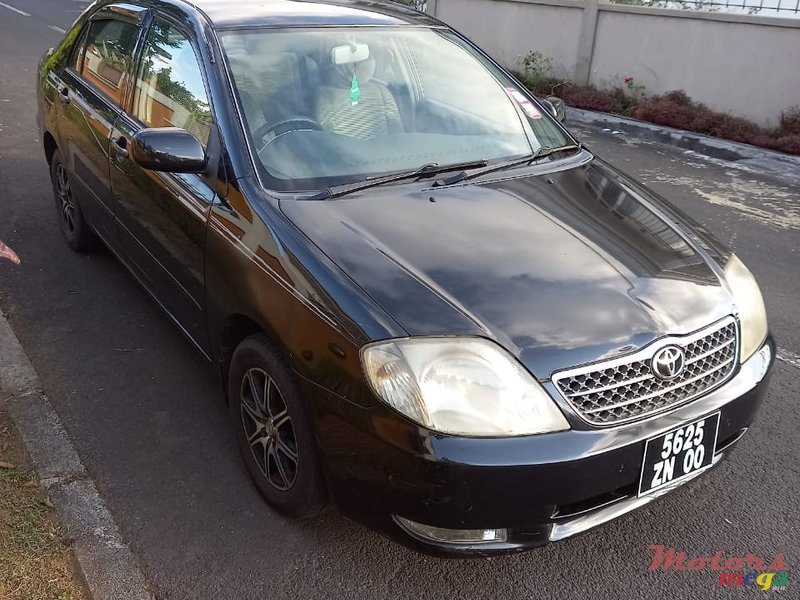 2000' Toyota Corolla NZE photo #2