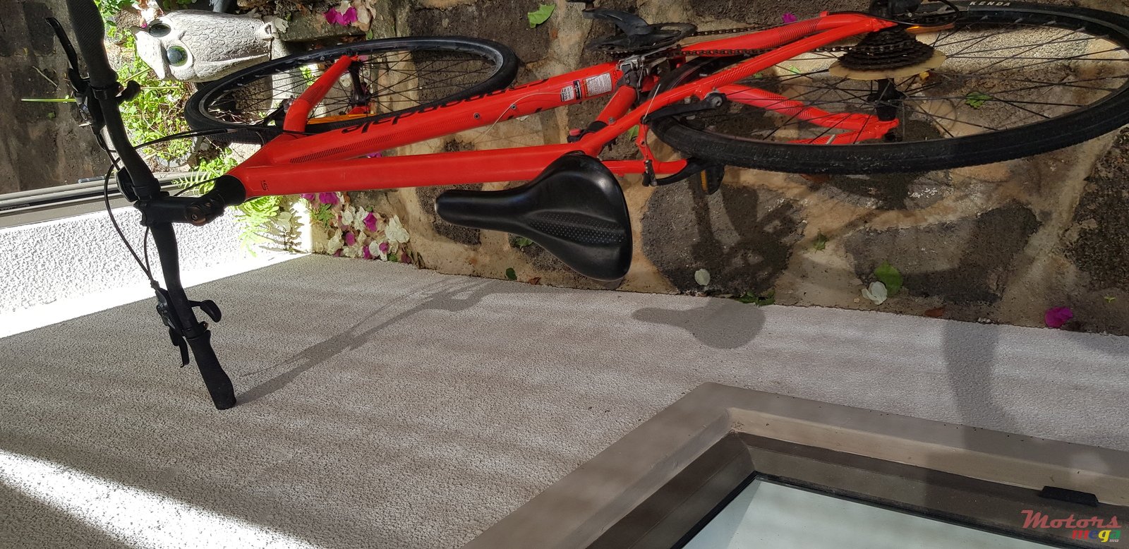 2019' Cannondale photo #3