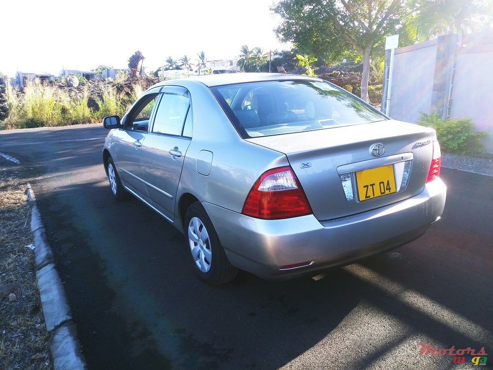 2004' Toyota Corolla Nze X photo #4