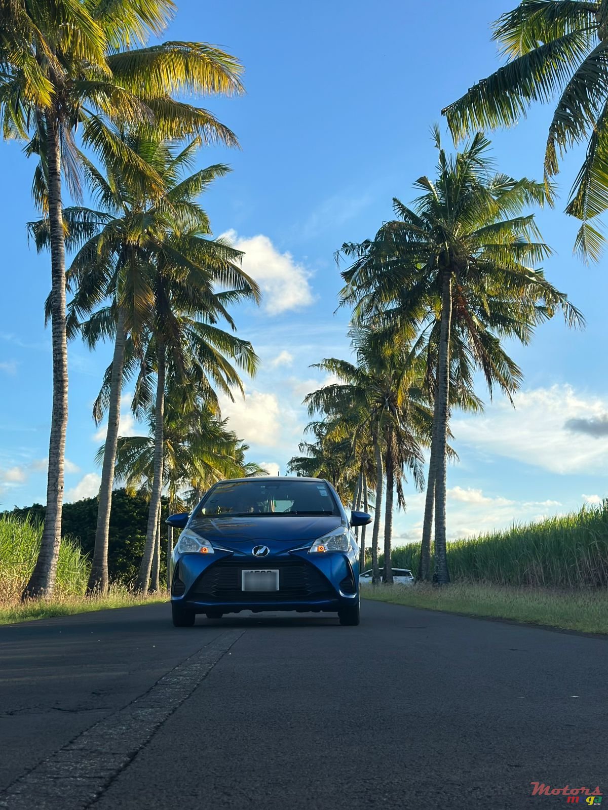 2019' Toyota photo #1