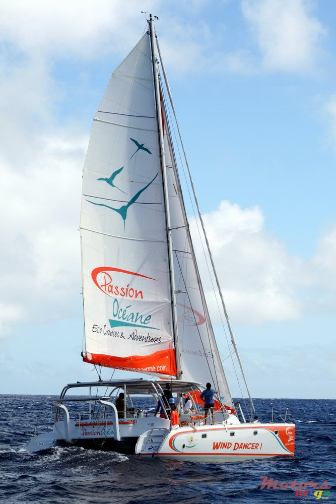 2009' Sail photo #6