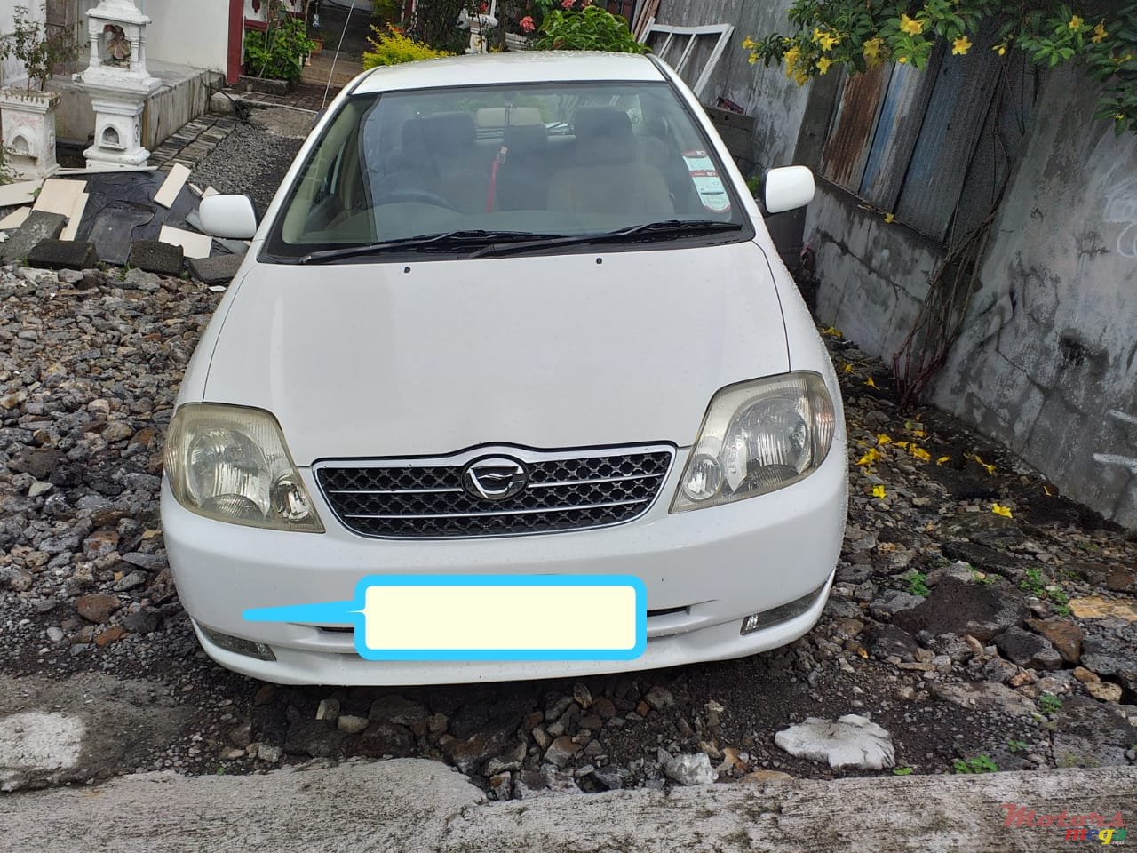 2002' Toyota Corolla photo #1