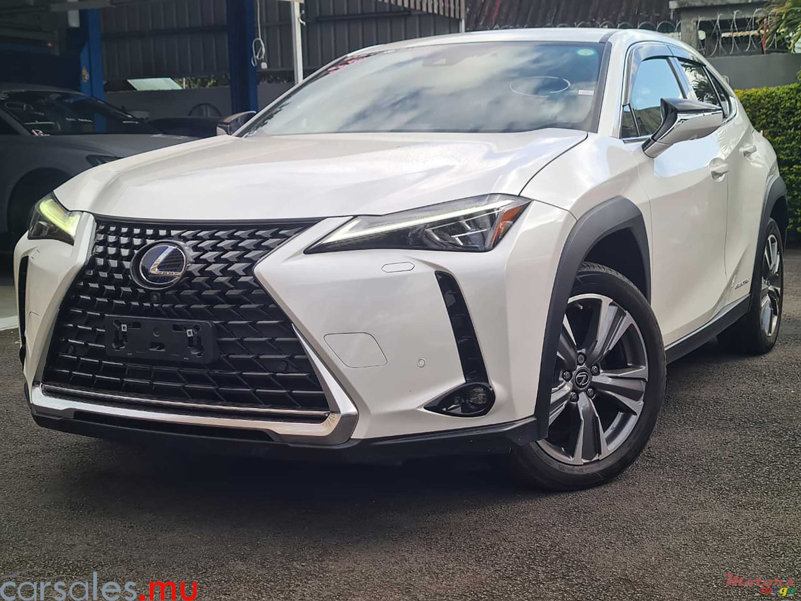 2022' Lexus UX 300e 152kW photo #1