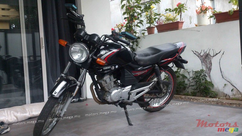 2010' Yamaha photo #1