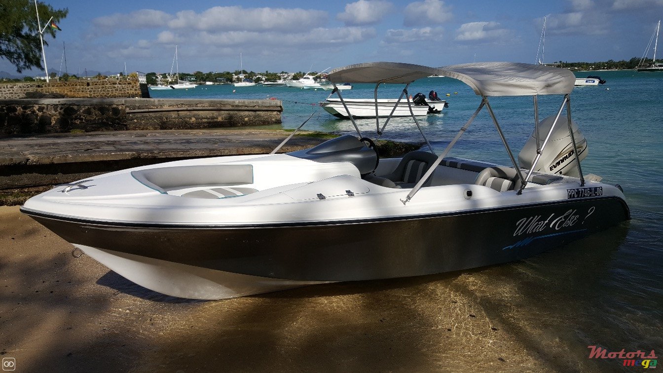 2004' Cobra photo #1