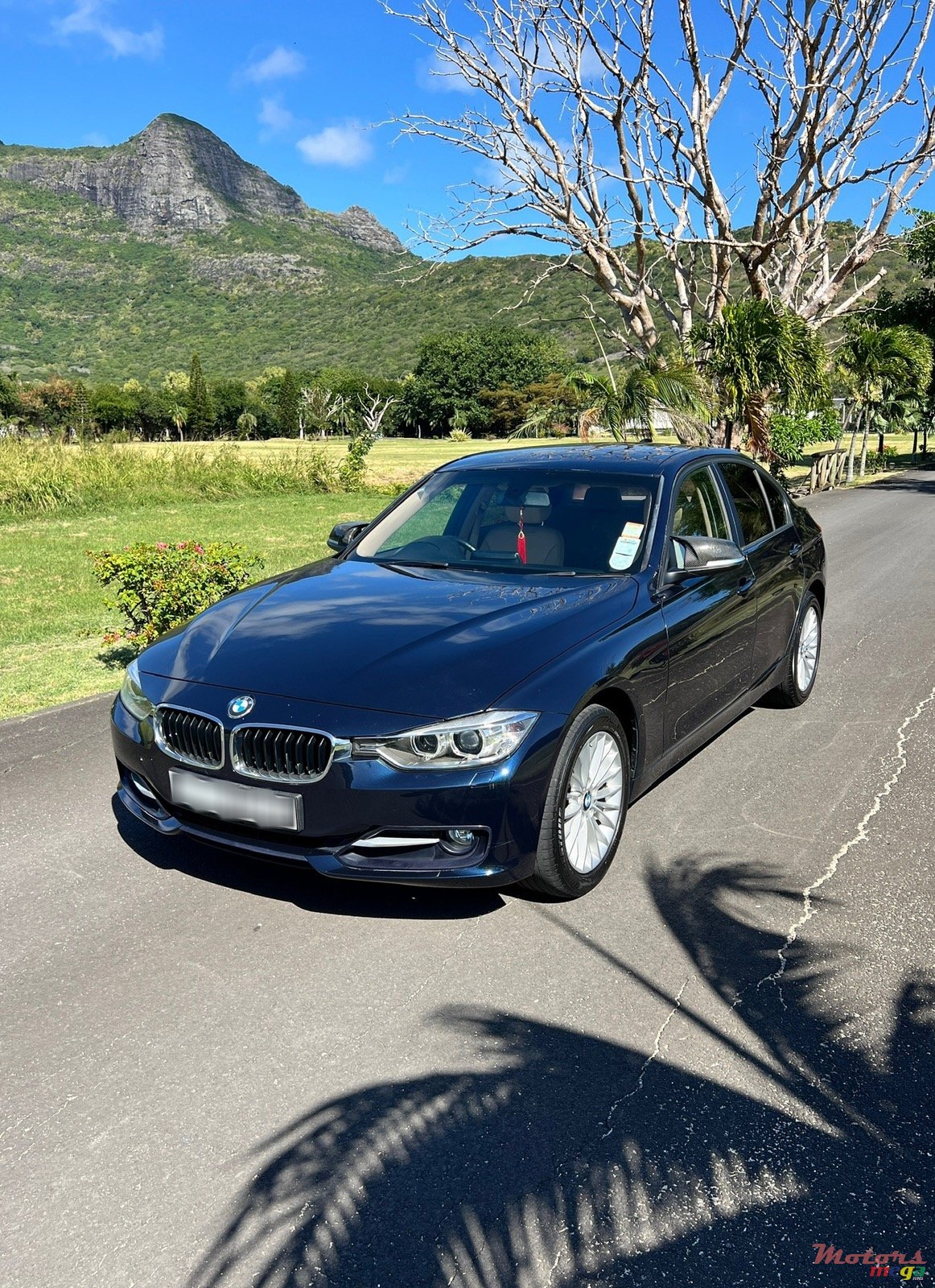 2013' BMW 316 photo #2