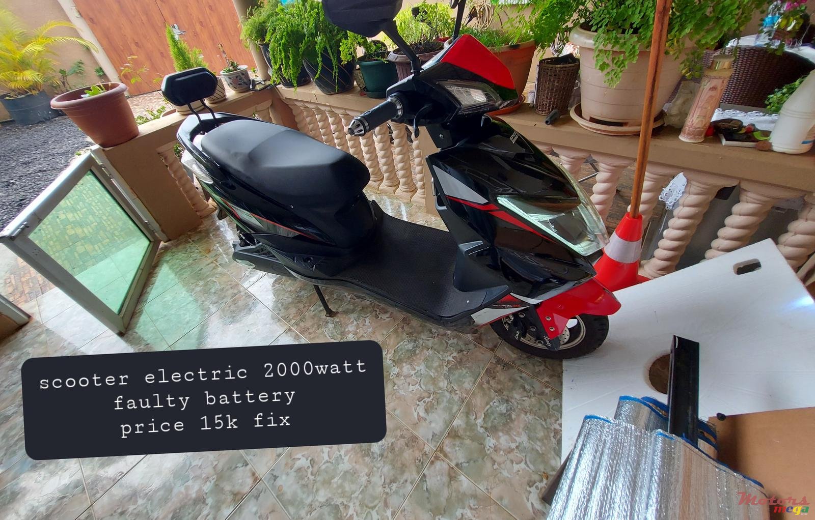 2020' Speed Gear photo #1