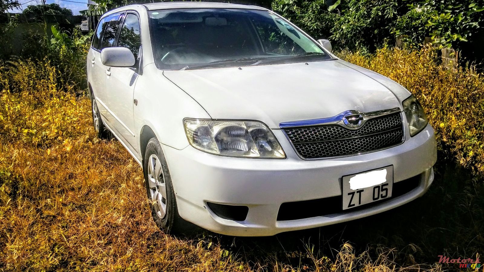 2005' Toyota Corolla Fielder X photo #1