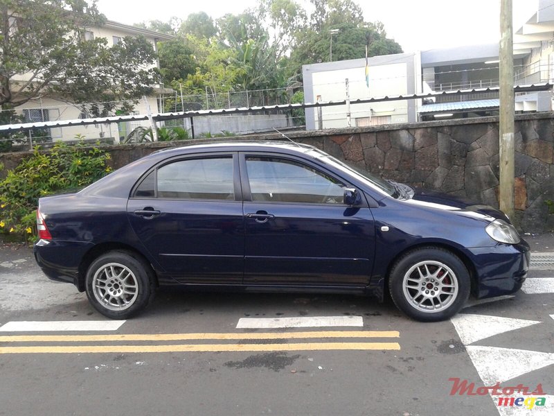 2002' Toyota Corolla photo #4