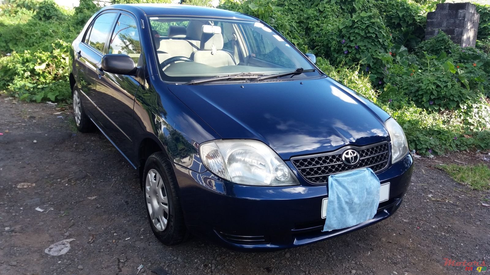 2002' Toyota Corolla photo #2