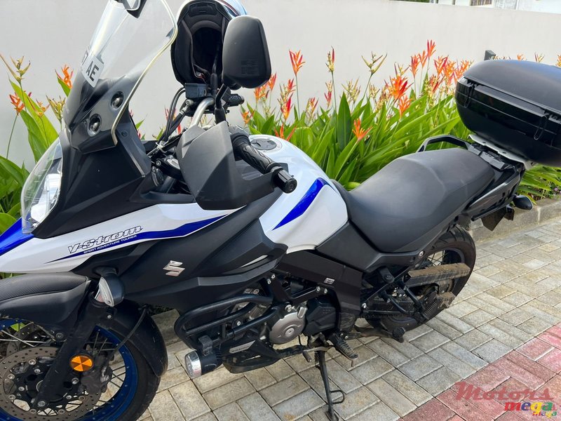 2020' Suzuki photo #1