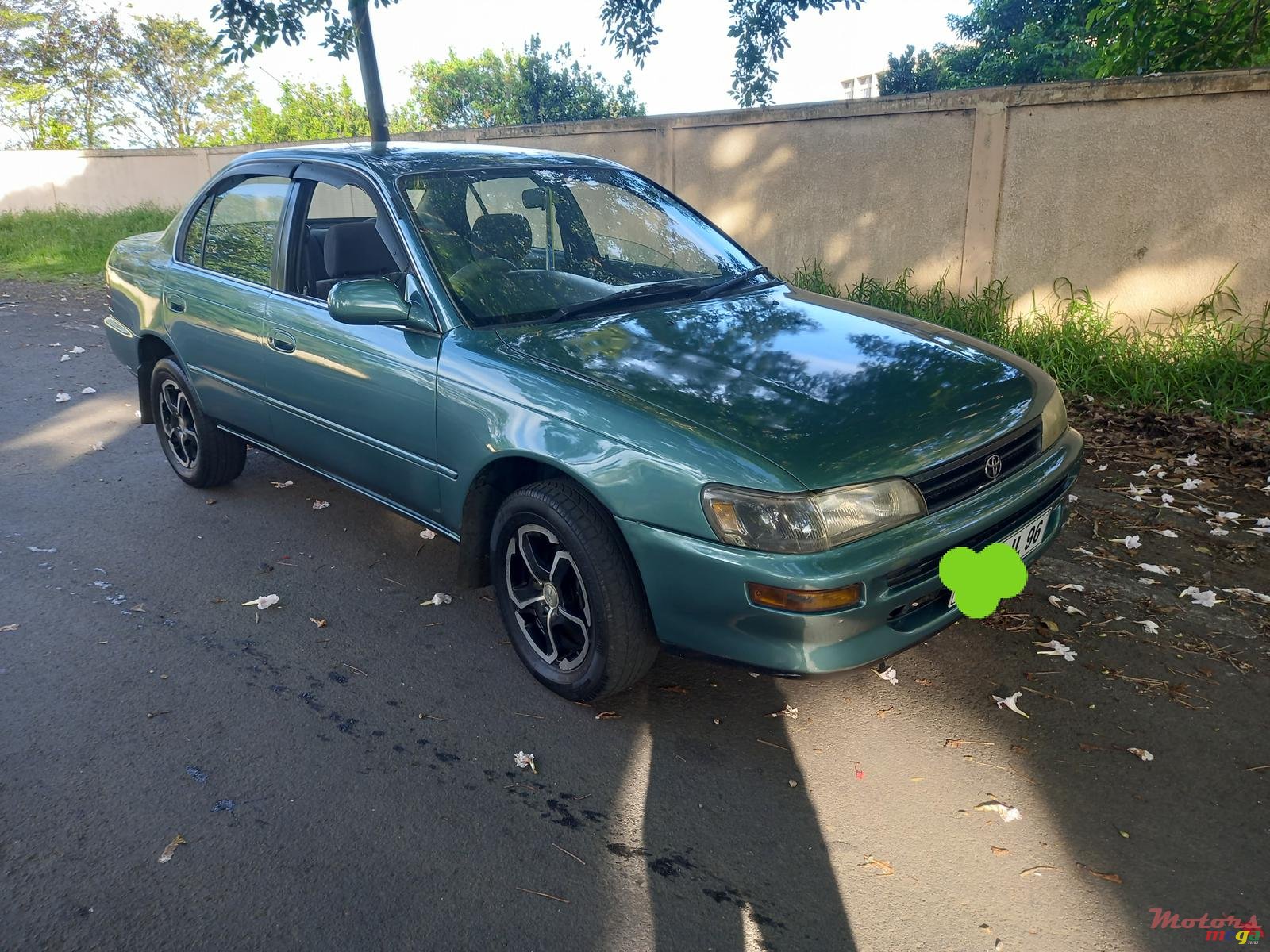 1996' Toyota Corolla photo #1