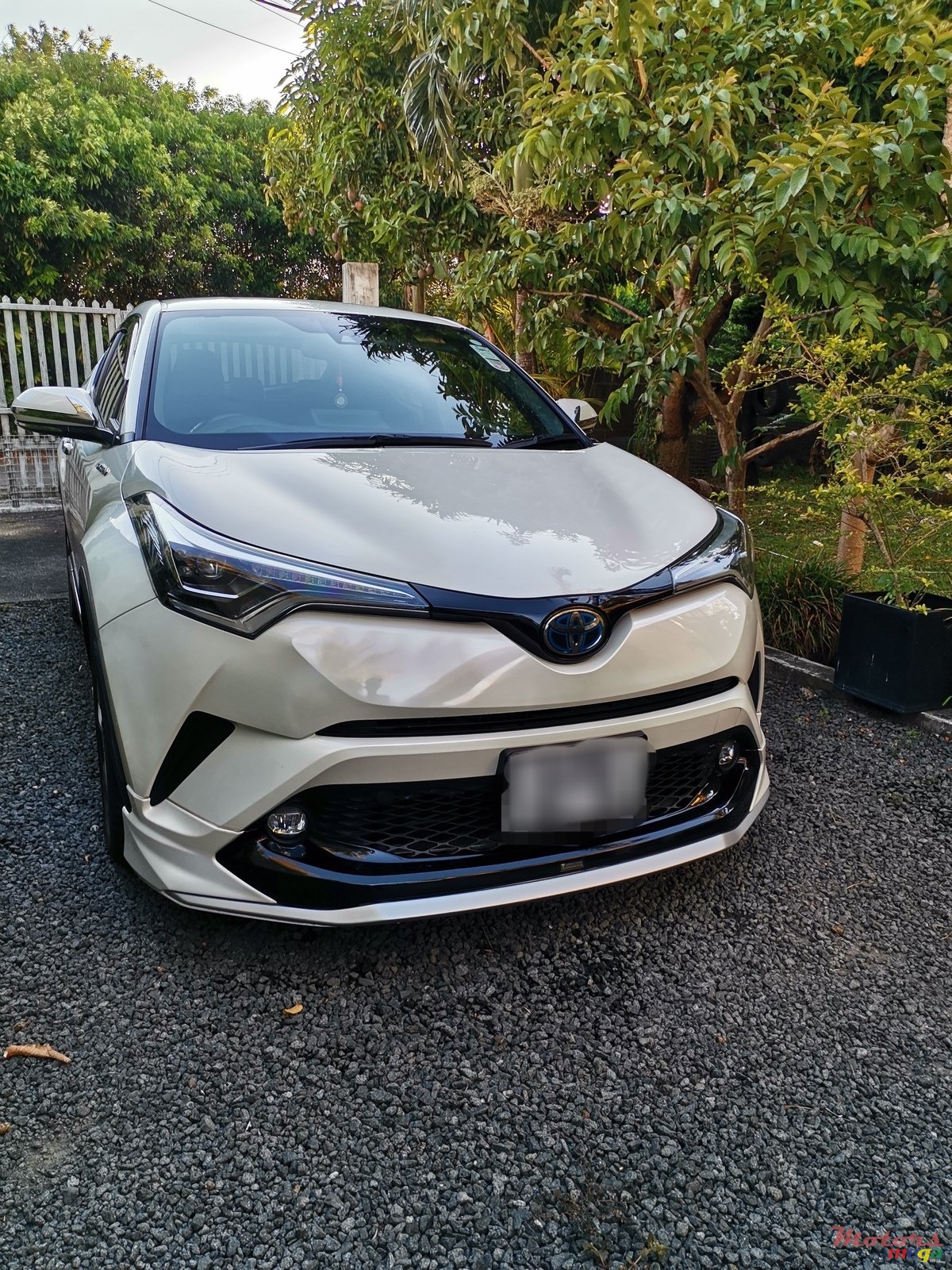2019' Toyota C-HR photo #1