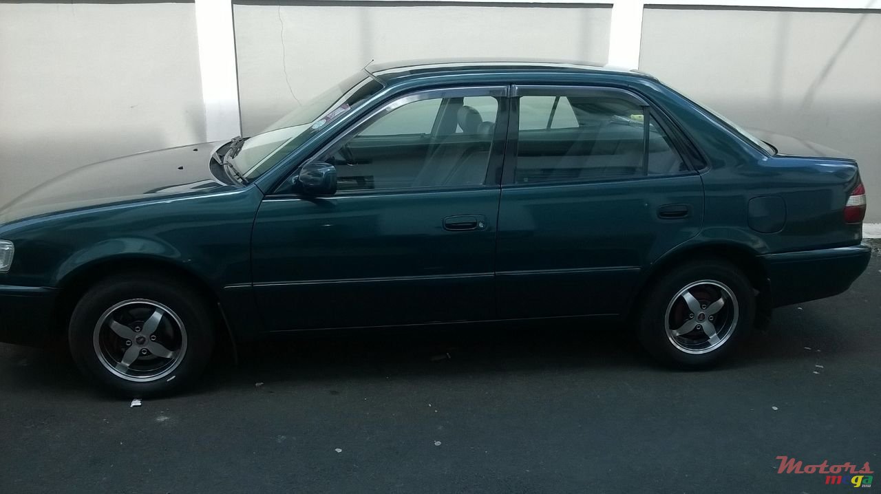 1997' Toyota Corolla none photo #1