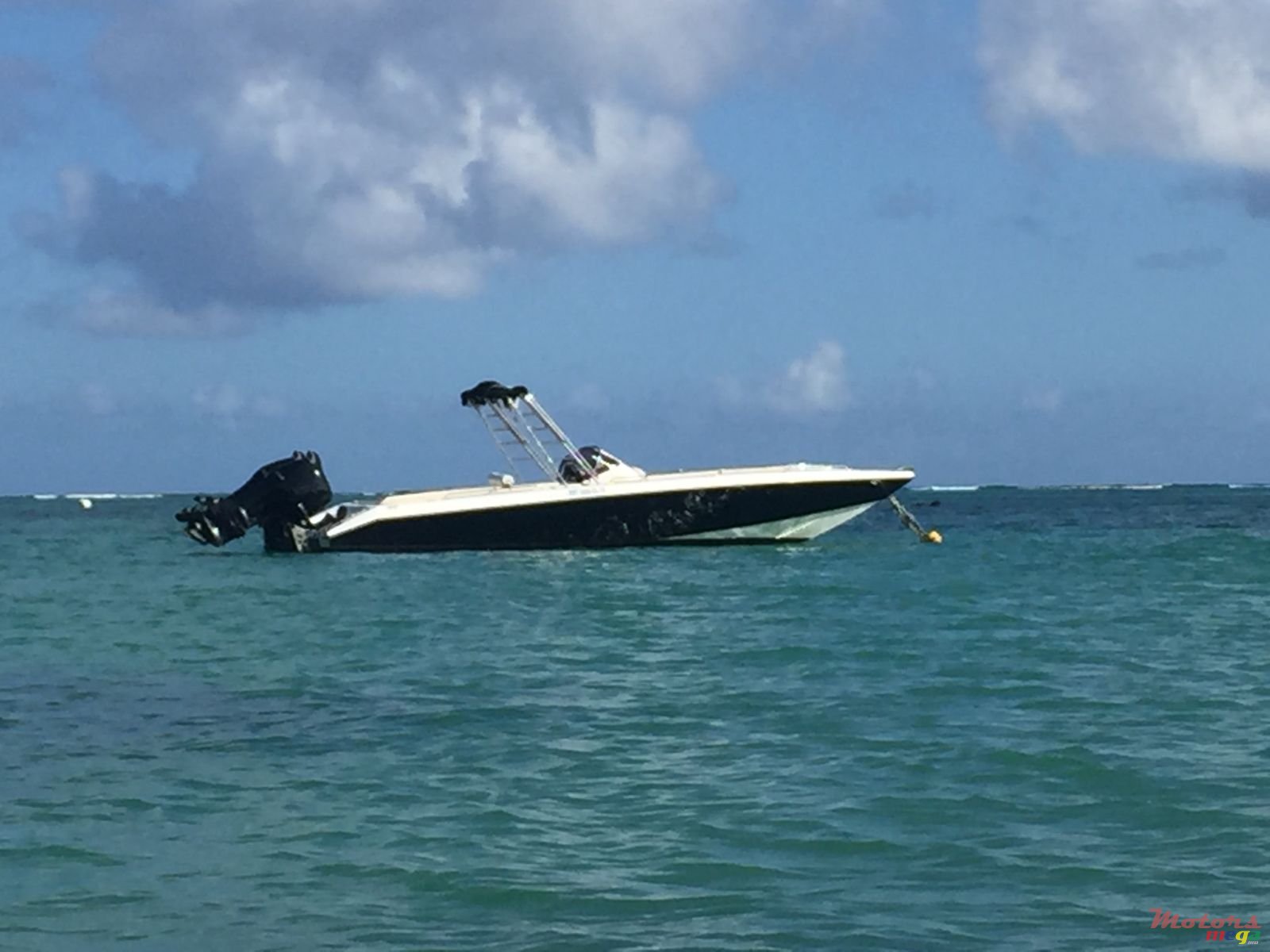 2017' Cobra photo #5