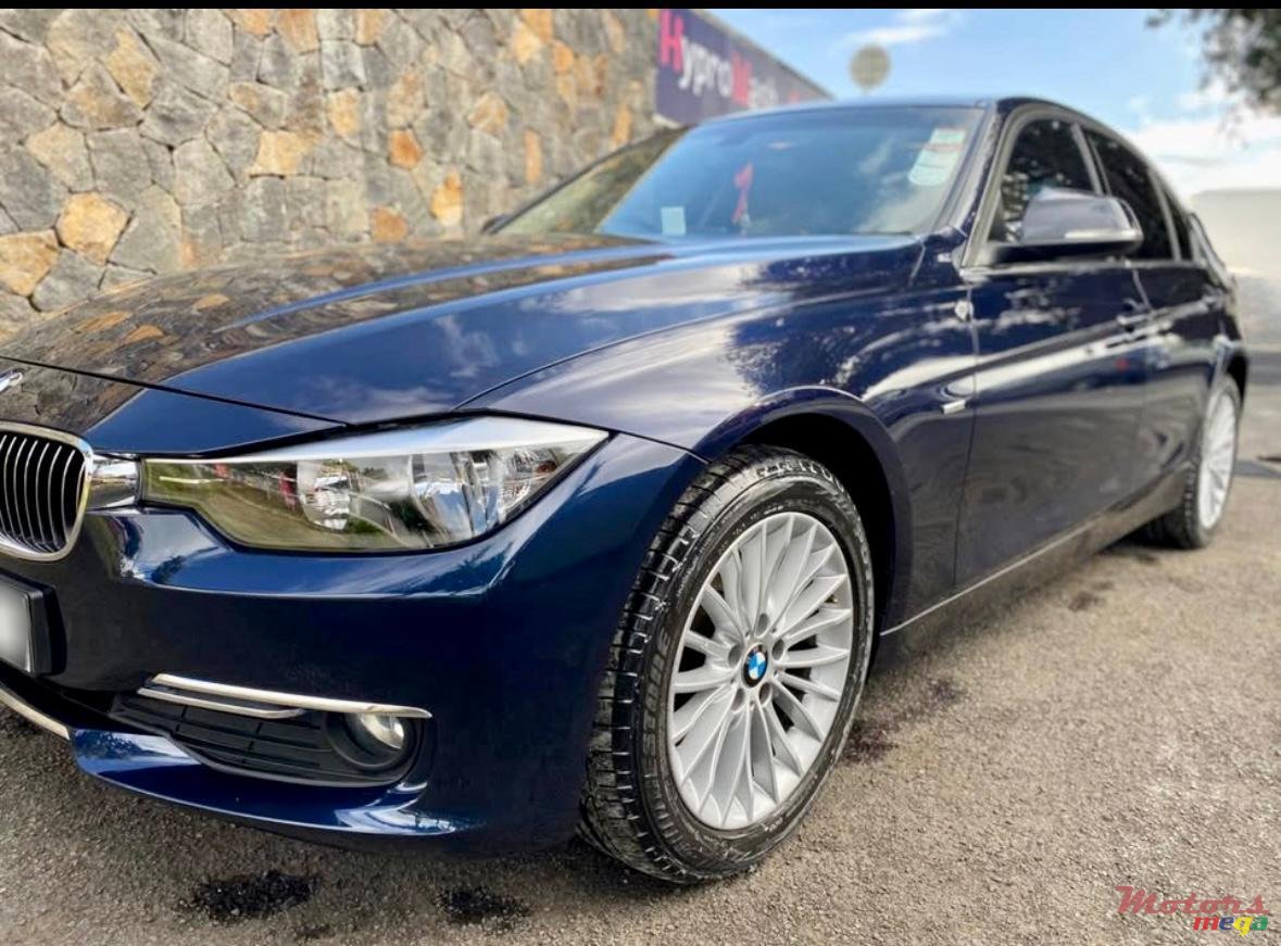2013' BMW 316 photo #3
