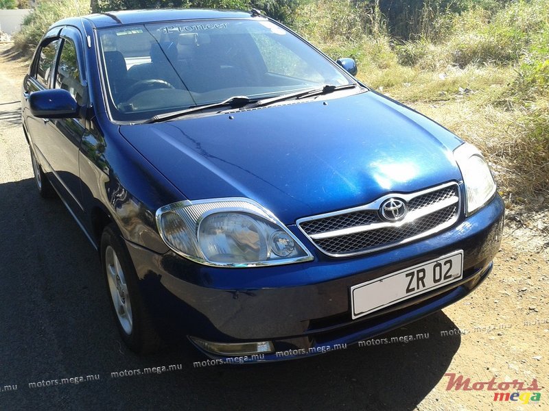 2002' Toyota Corolla XLI photo #1