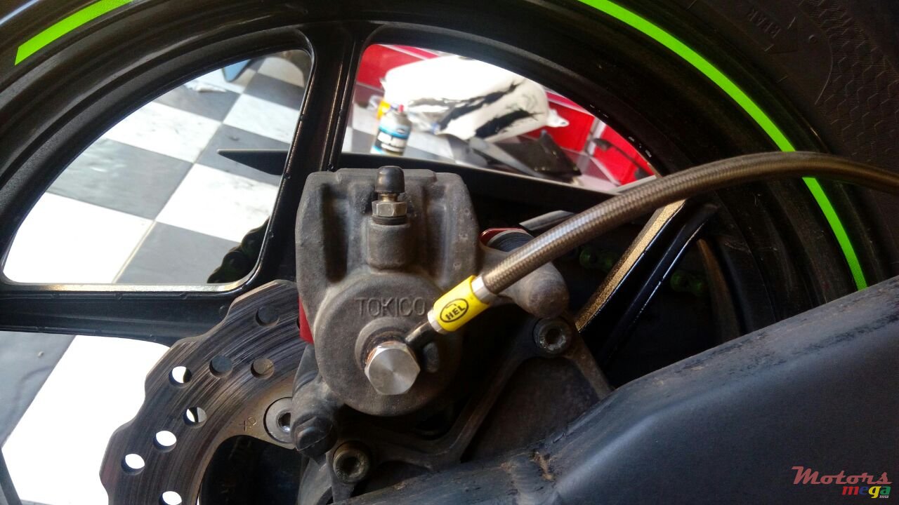 2010' Kawasaki Angel. Eyes photo #5