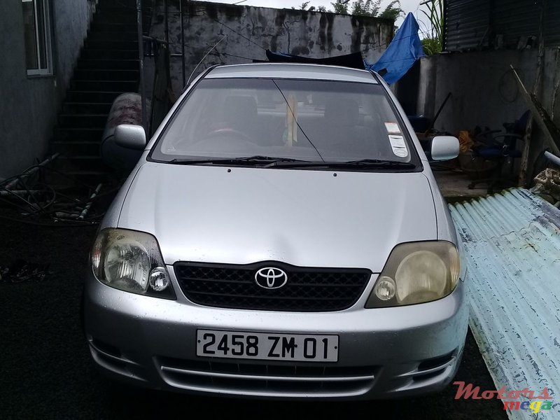 2001' Toyota Corolla NZE photo #2