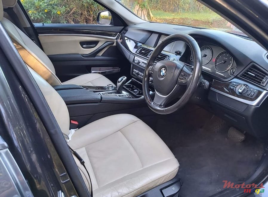 2010' BMW 523 photo #1