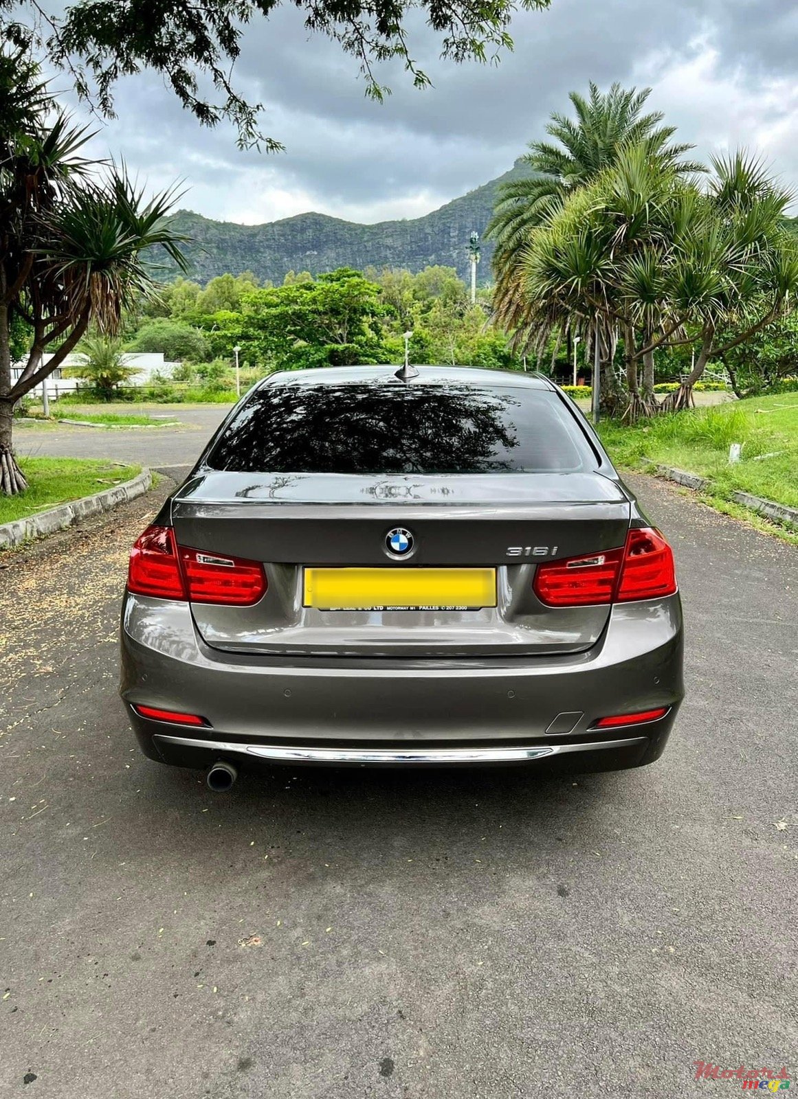 2014' BMW 316 photo #5