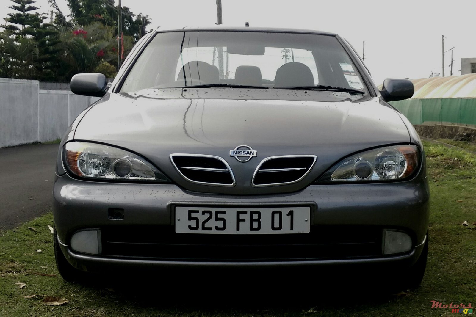2001' Nissan Primera photo #3
