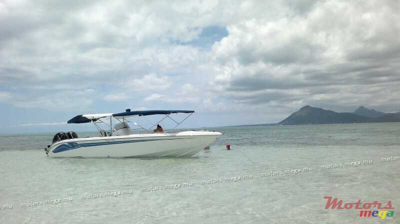 2013'  Cheeta 30" photo #2