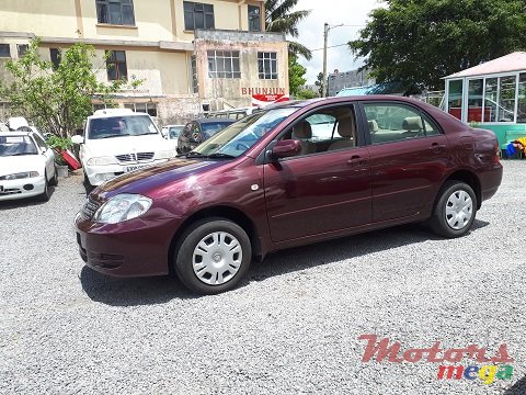 2004' Toyota Corolla NZE photo #1