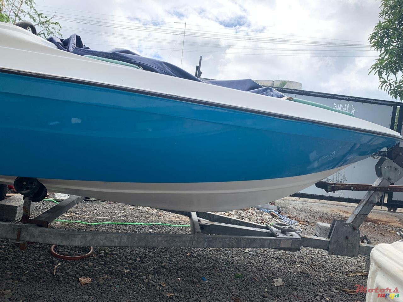 2017' Cobra photo #3