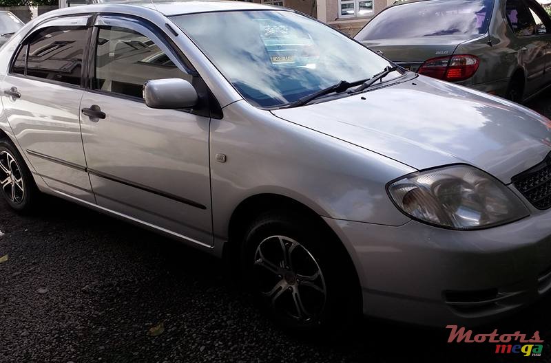 2004' Toyota Corolla GLI photo #2