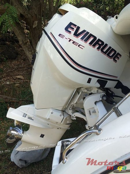 2009' Cobra photo #3