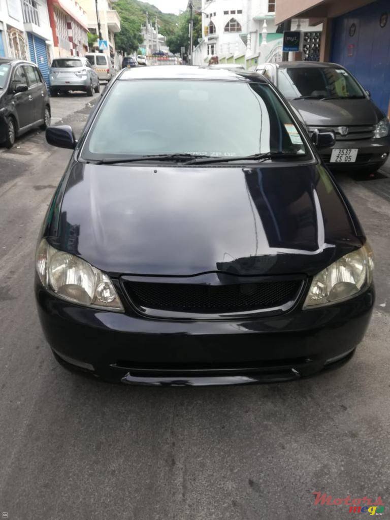 2002' Toyota Corolla NZE photo #6