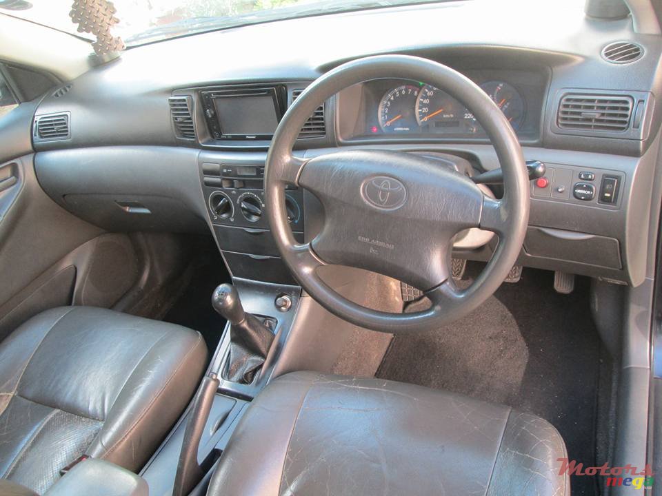 2003' Toyota Corolla NZE photo #5