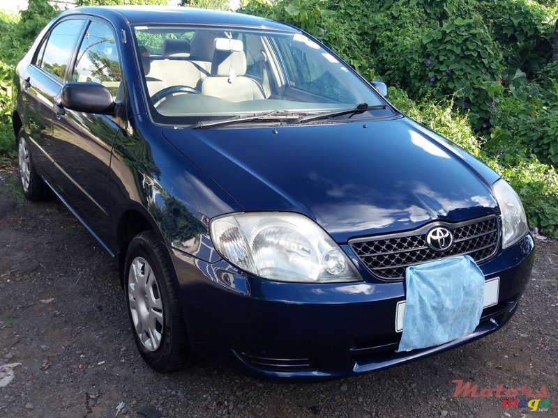 2002' Toyota Corolla photo #2