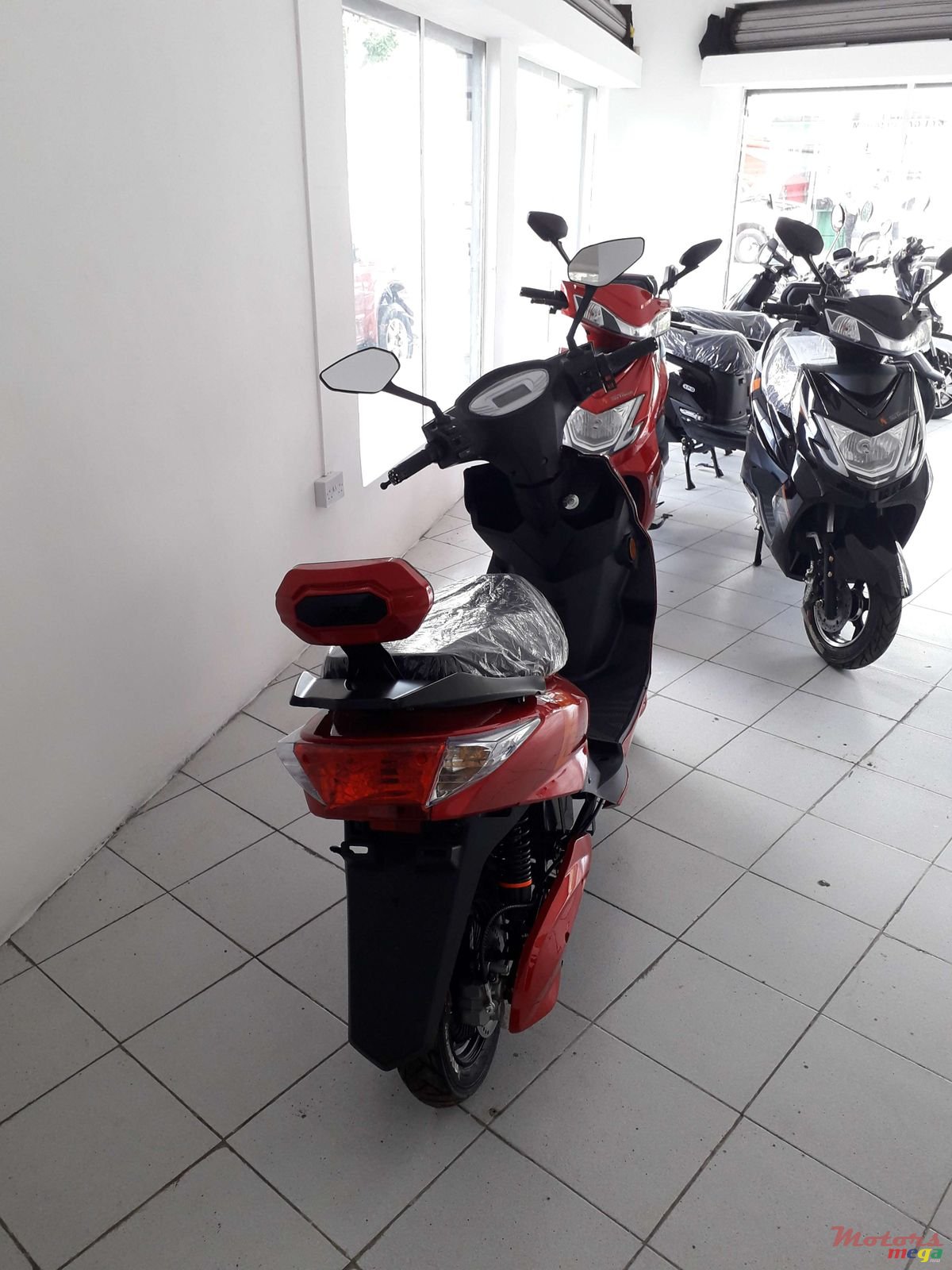 2019' Warrior photo #2