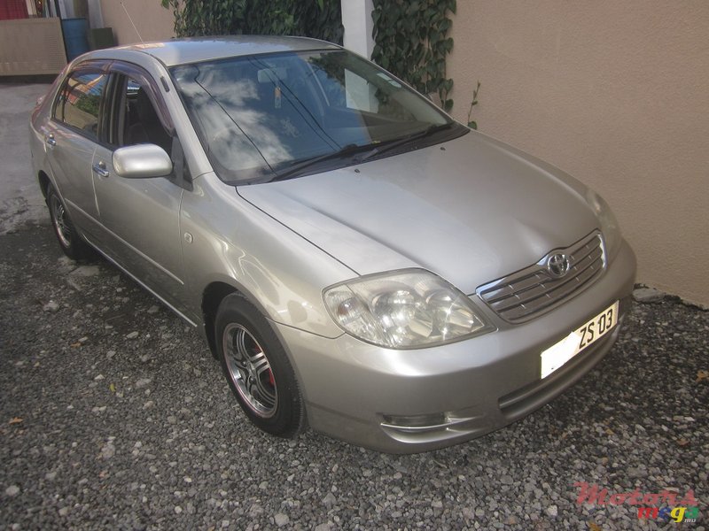 2003' Toyota Corolla NZE photo #2