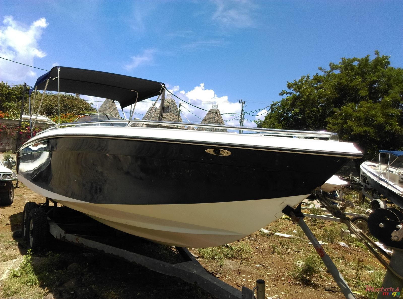 2004' Cobra photo #2