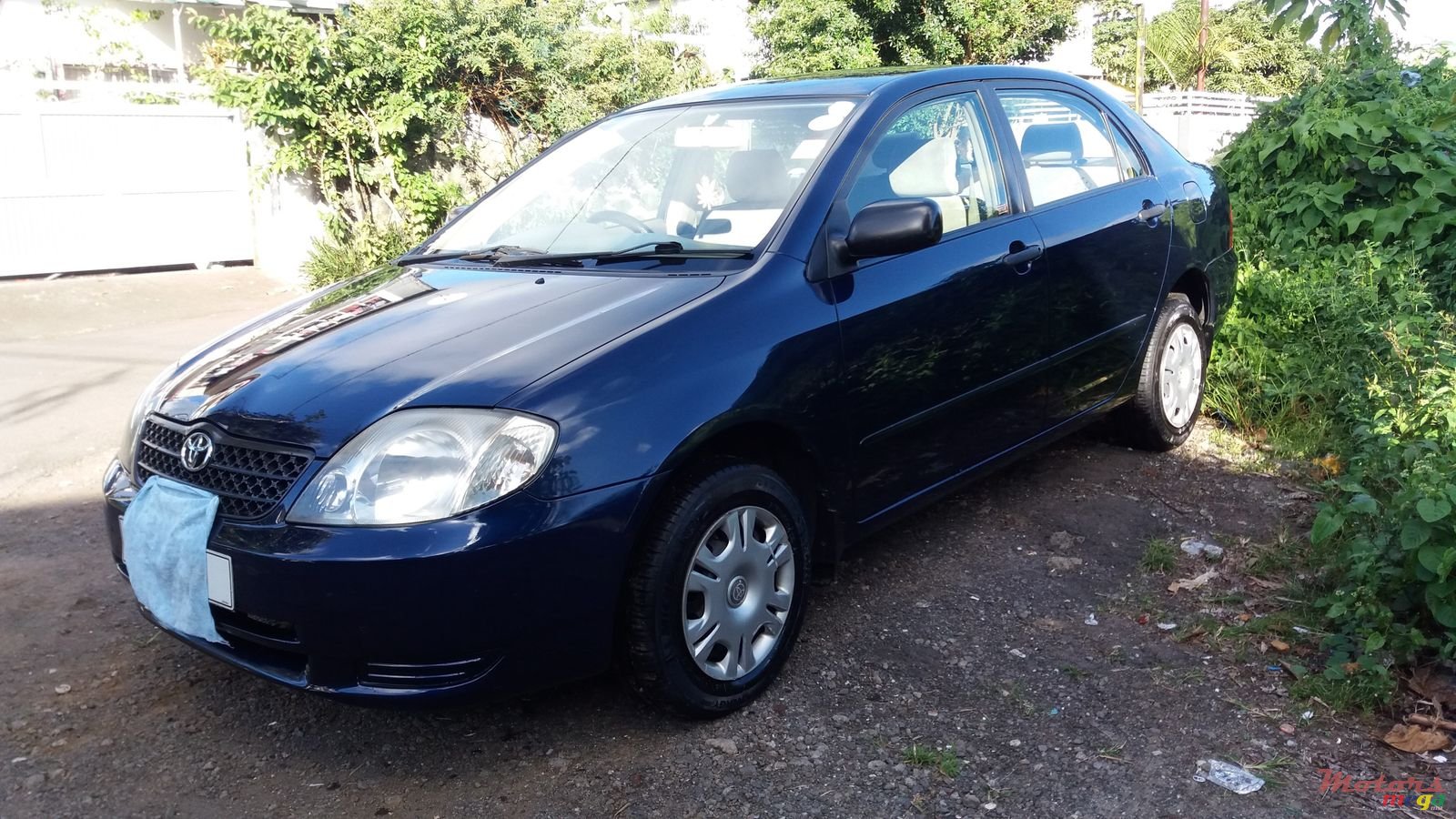 2002' Toyota Corolla photo #1