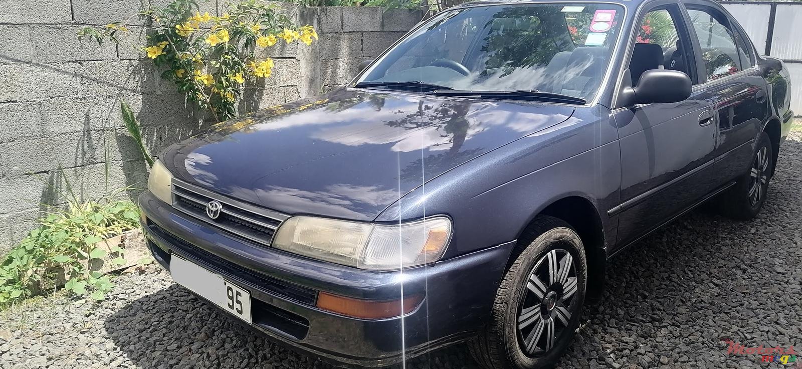 1995' Toyota Corolla photo #4