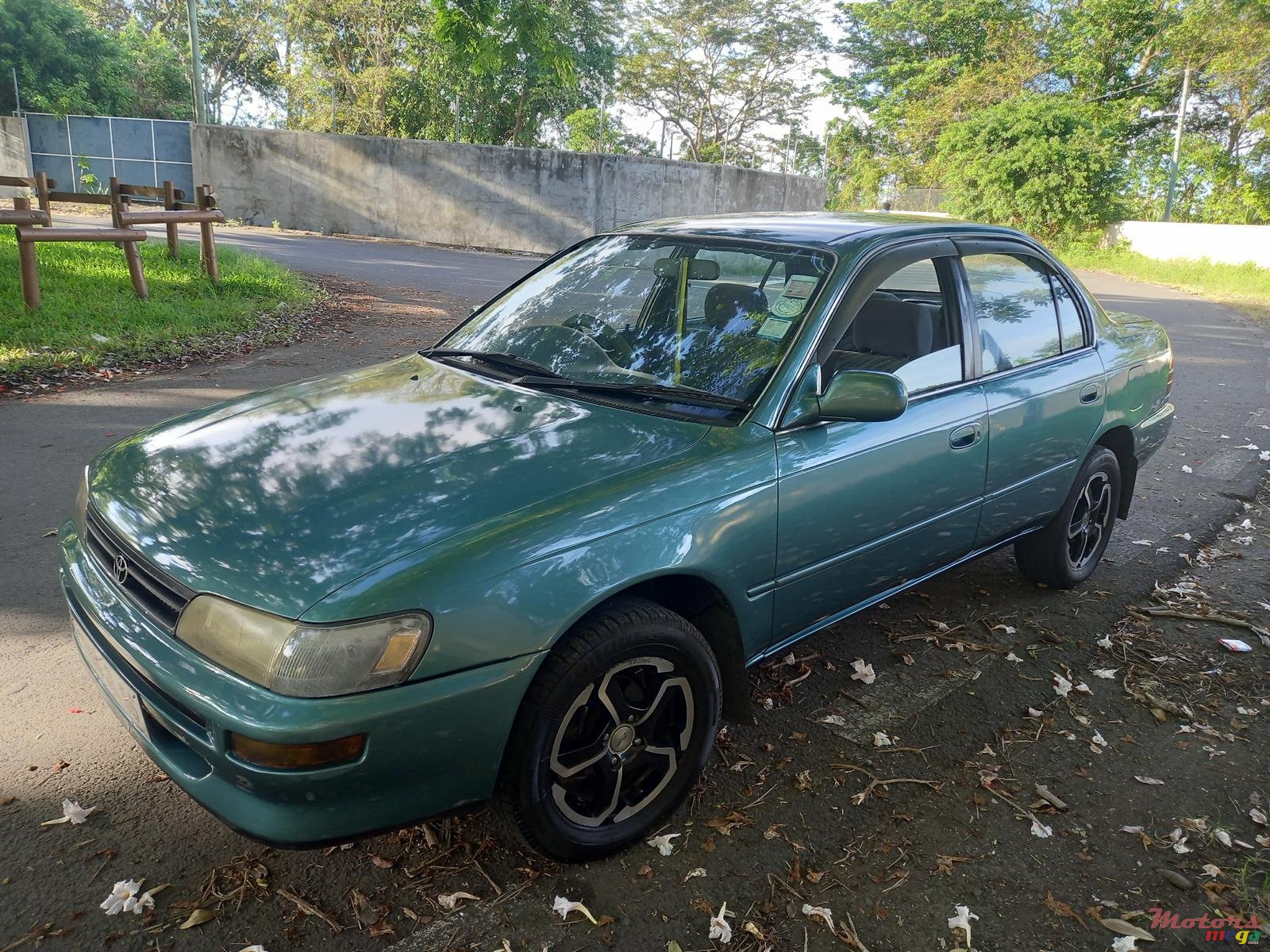 1996' Toyota Corolla photo #7