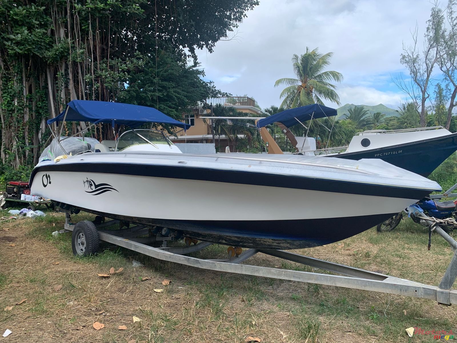 2009' Cobra photo #5