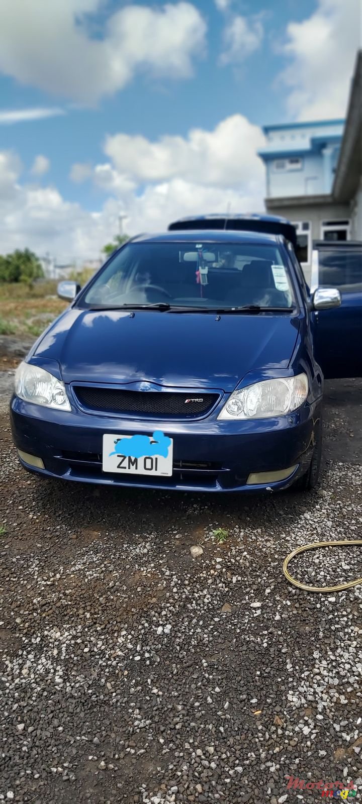 2001' Toyota Corolla photo #2
