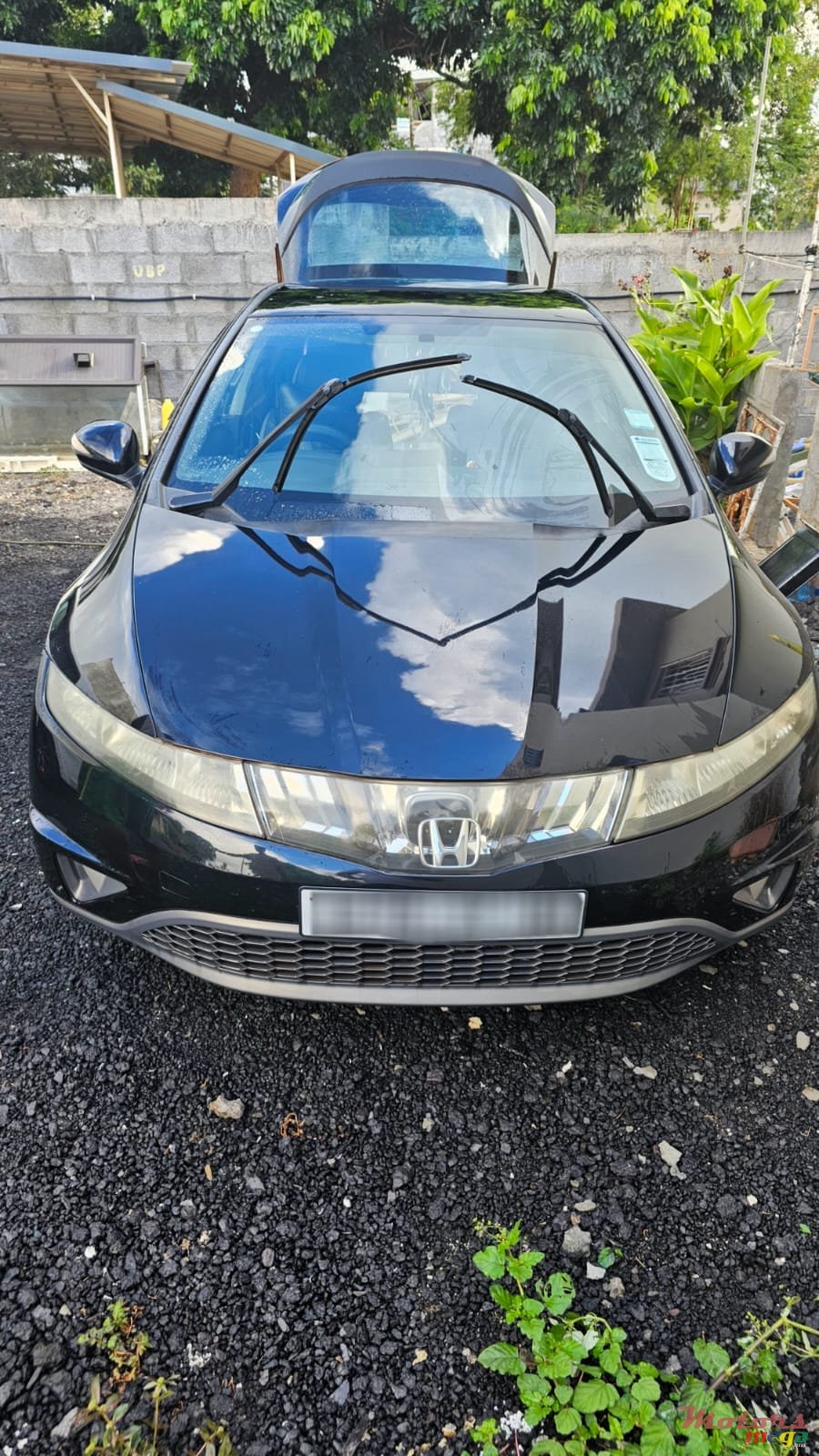 2008' Honda Civic photo #1