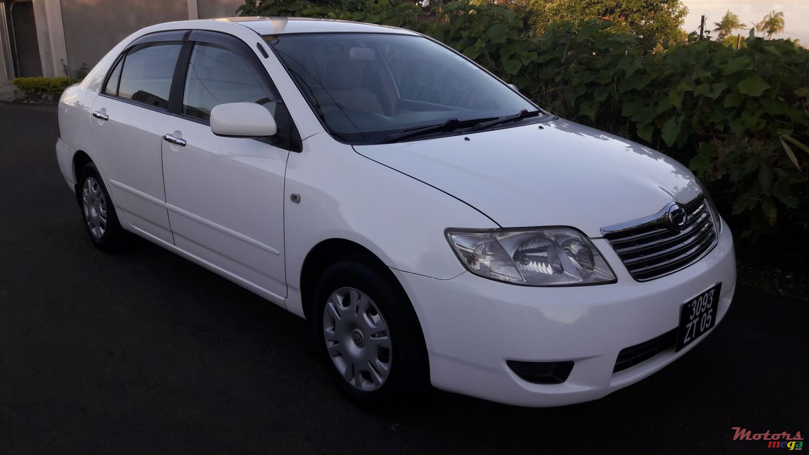 2005' Toyota Corolla Grade X 40th anniversary photo #2